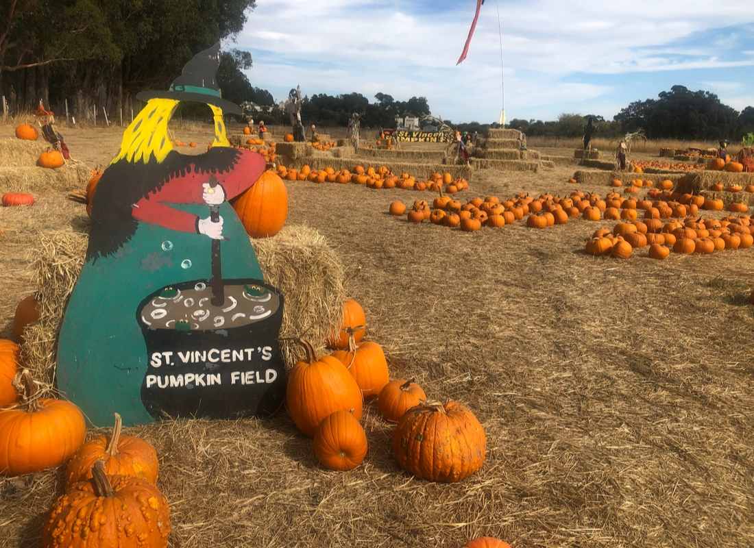 St. Vincent's School for Boys Pumpkin Patch
