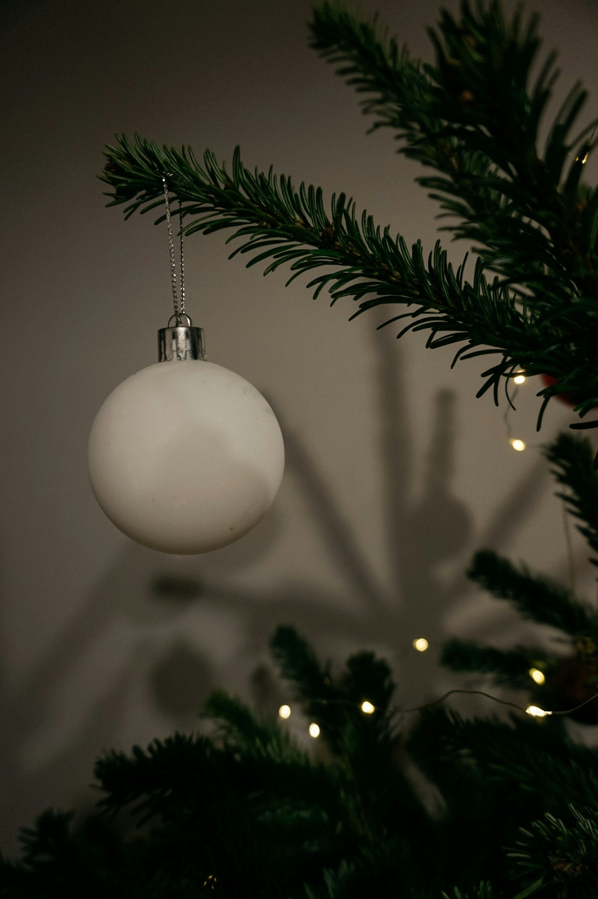 2025 Lights of Love