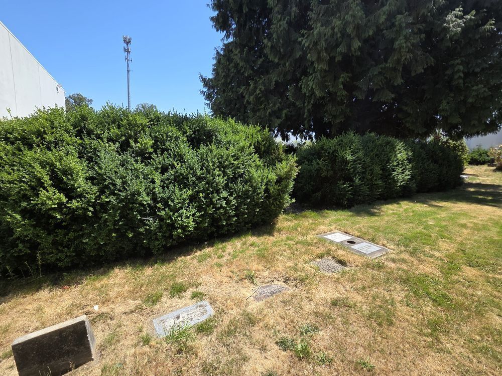 Long view of boxwood hedgers covering a corner of the cemetery