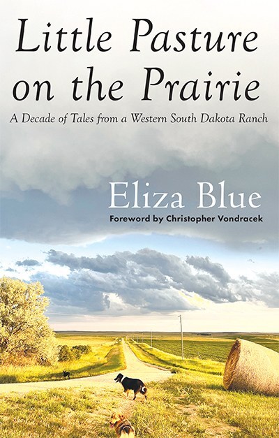Little Pasture on the Prairie