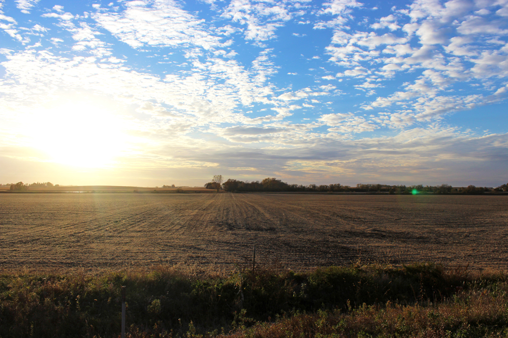 Imagine: How could 160 acres transform your community?