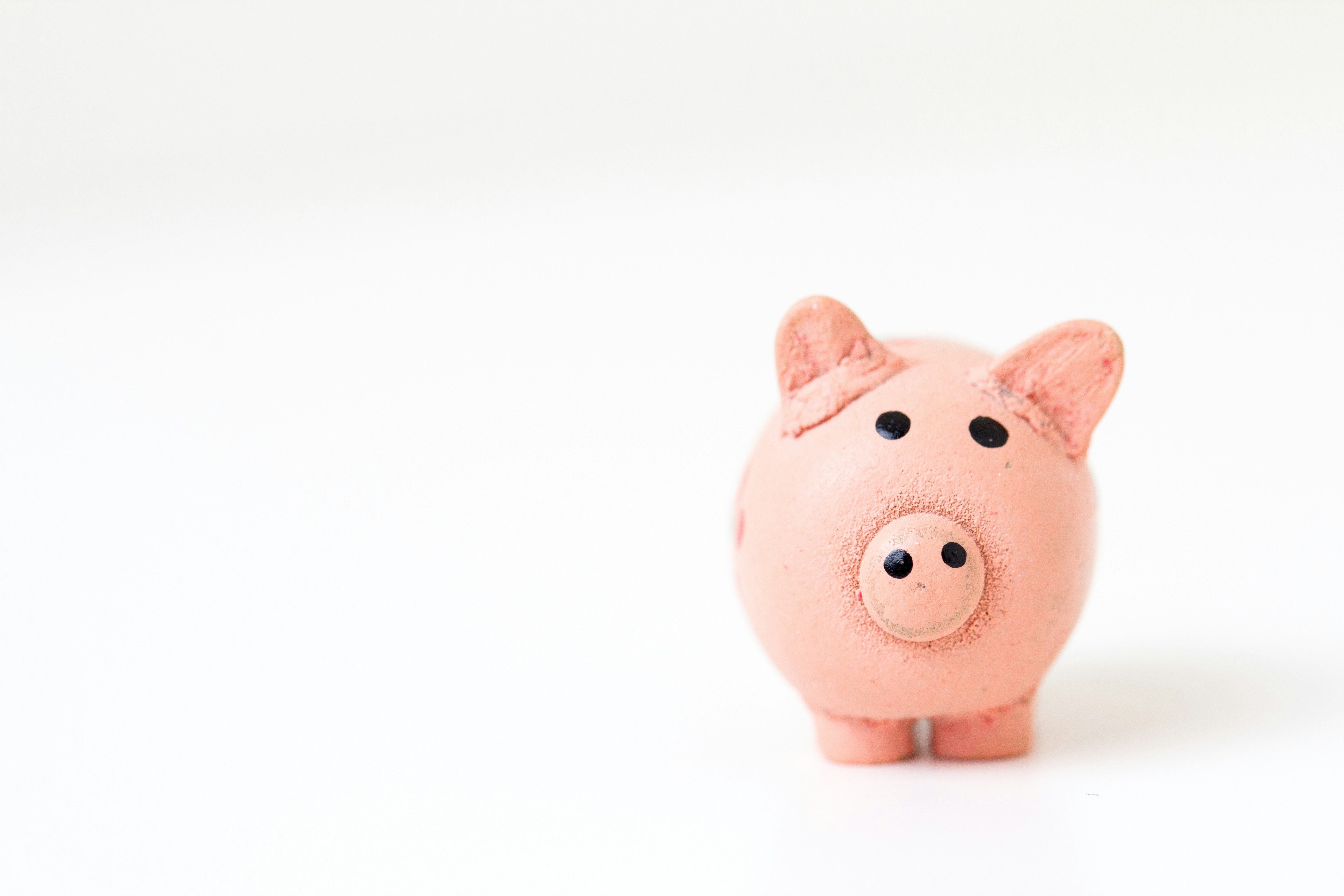 A Piggy Bank for your savings