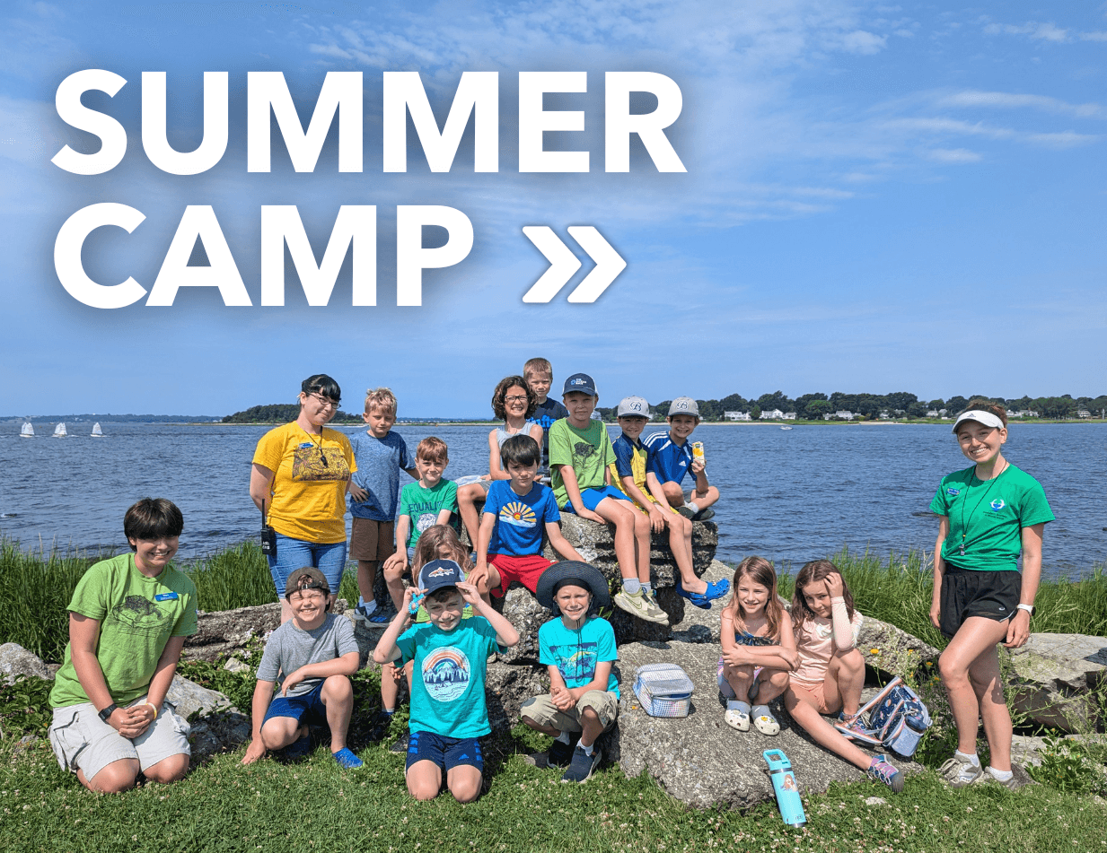 Summer Camp