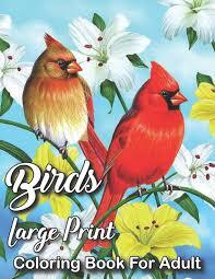 Large Print Adult Coloring Books