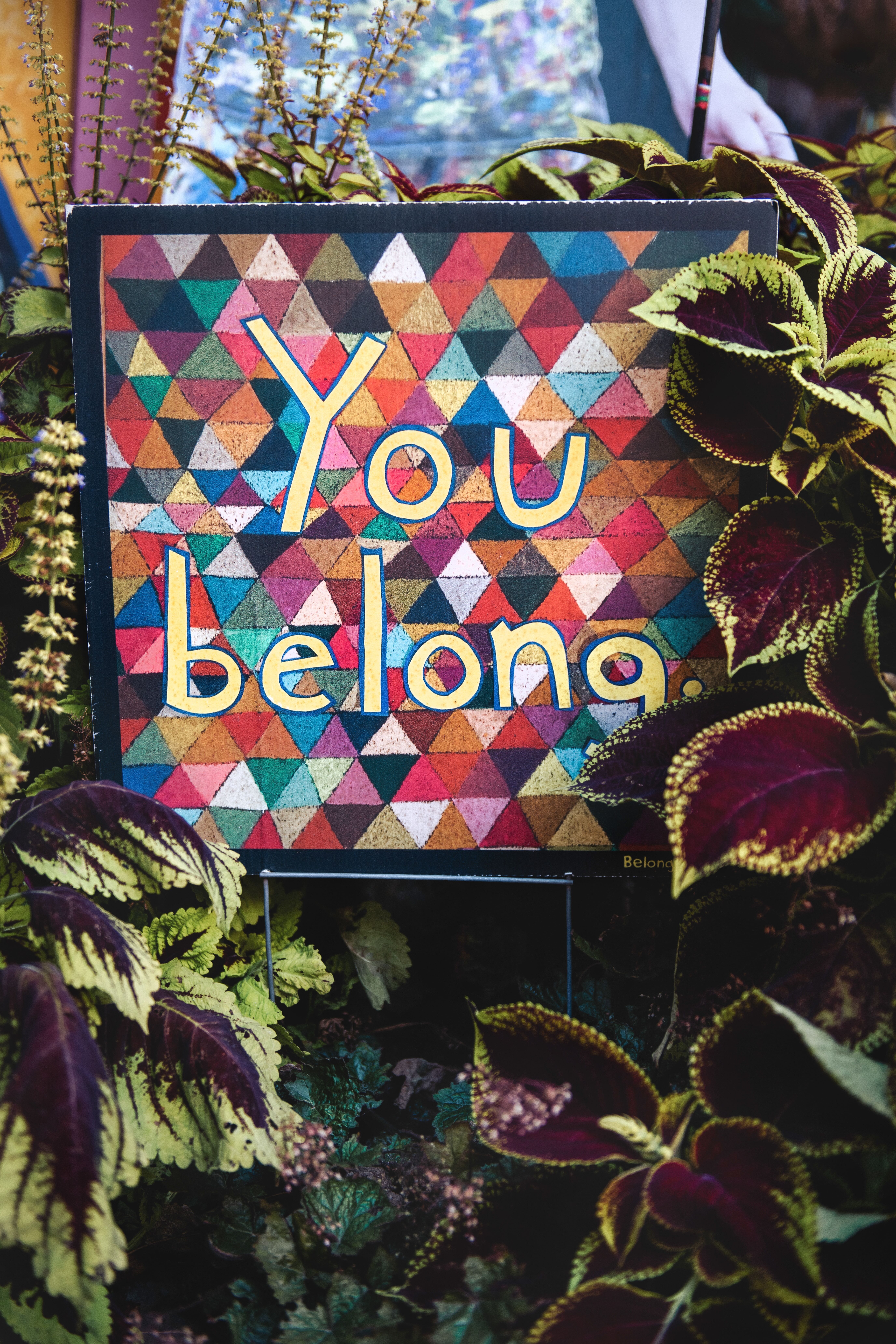 San Diego Audubon Society sign saying You Belong