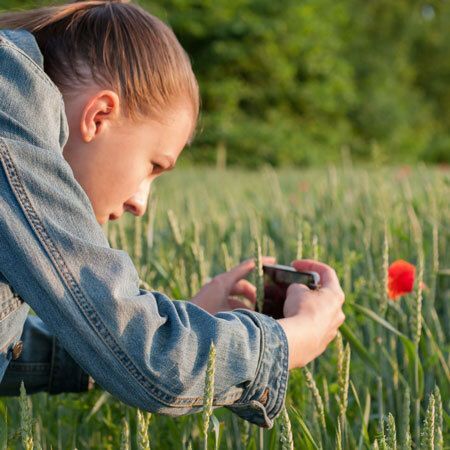 ArtWave for Ages 11-14