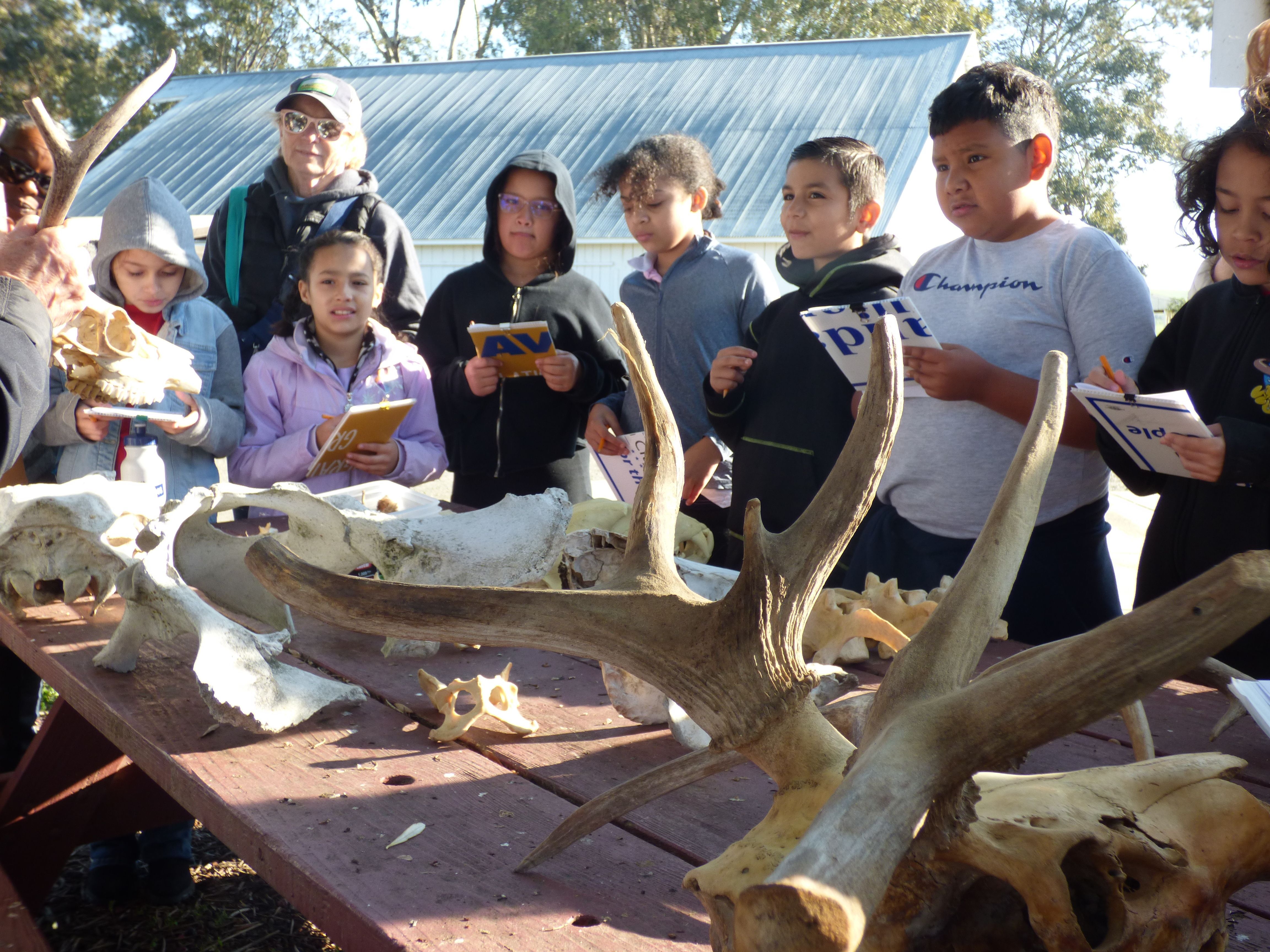Students were introduced to the various skulls at the bone table and excitedly found and marked the corresponding animal on their scavenger hunt page. 
