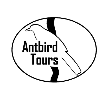 Antbird Tours