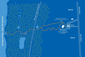 Trail Map Preview