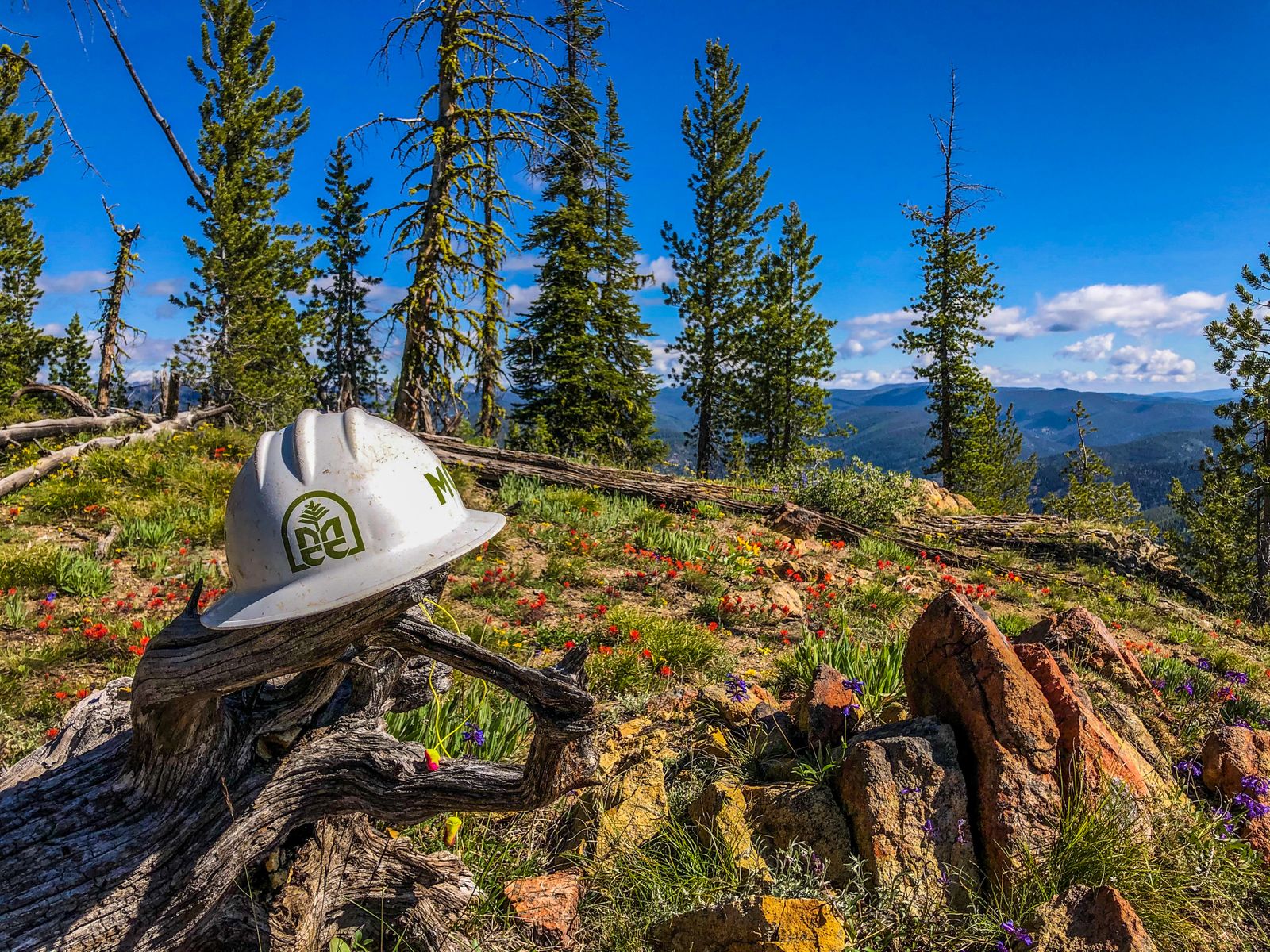 Home Montana Conservation Corps