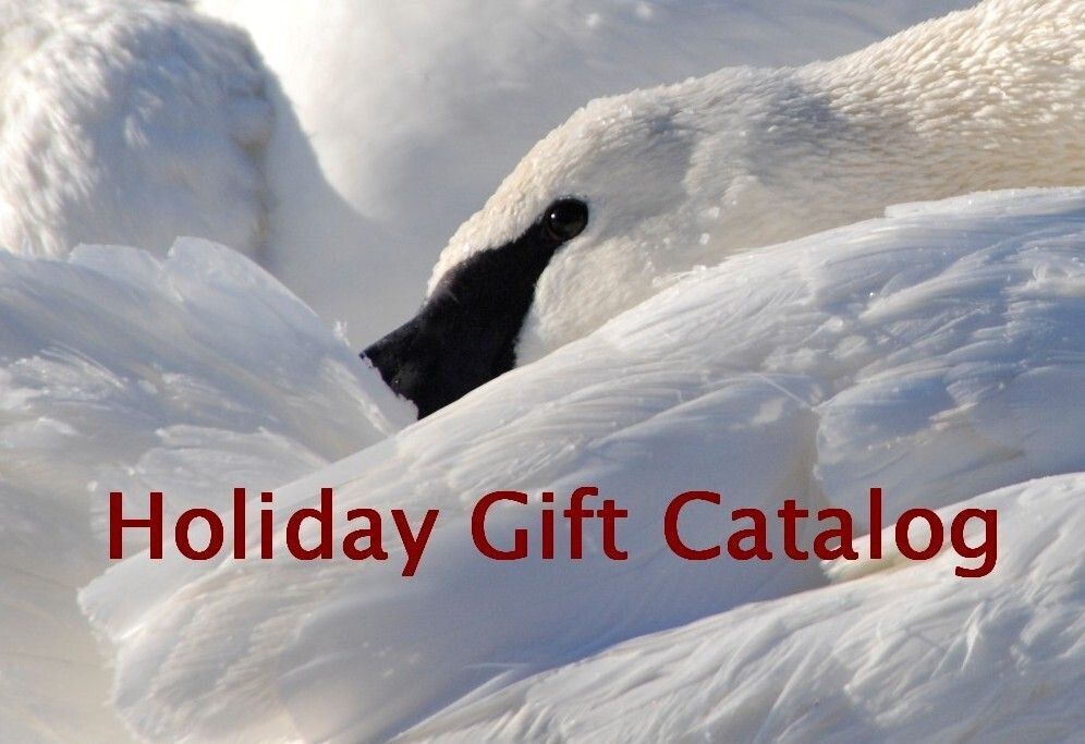 Holiday Gift Catalog