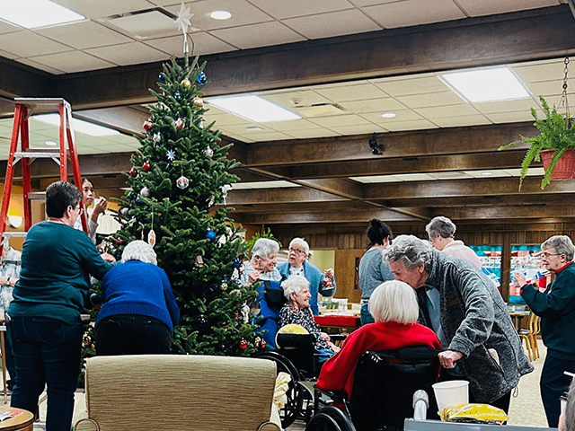 Christmas tree trimming