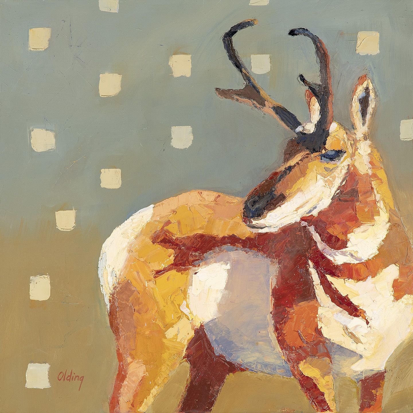 "Pronghorn Square Stars"  20 x 20 Oil on Canvas