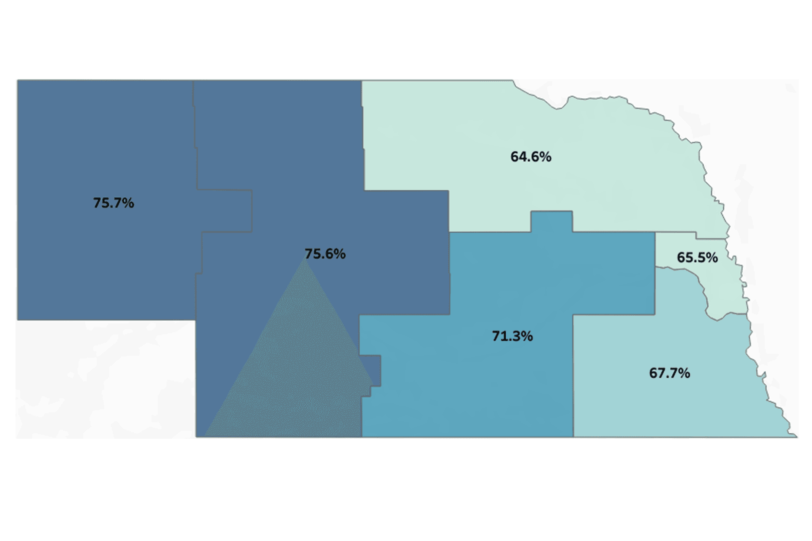 Maternal Child Health Data Natality Dashboard