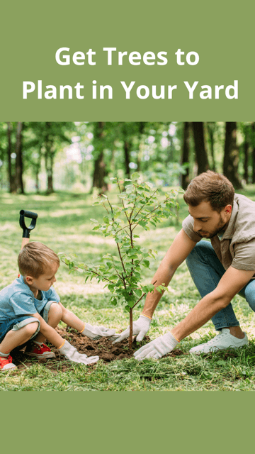 Plant a Tree for Georgia!