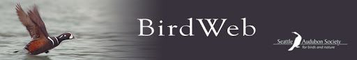 BirdWeb