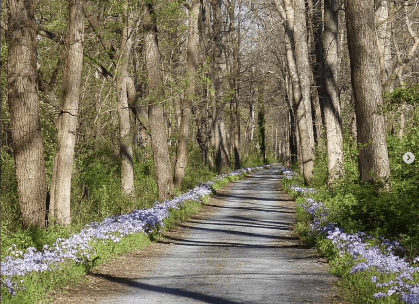  C+O Path_periwinkles