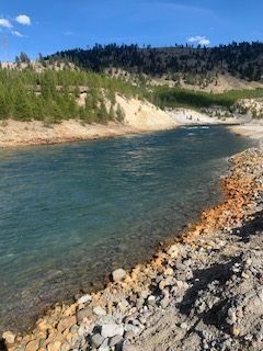 A view of the bank of the Yellowstone River.