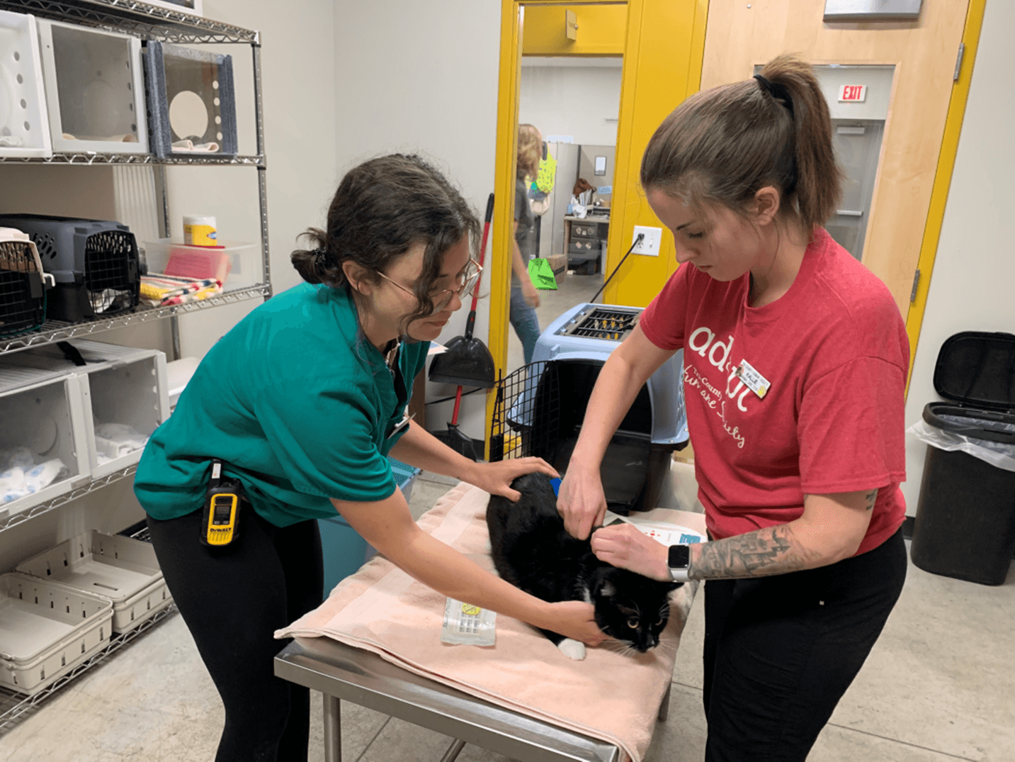 TCHS Pulls Off Microchip Clinic for the Public