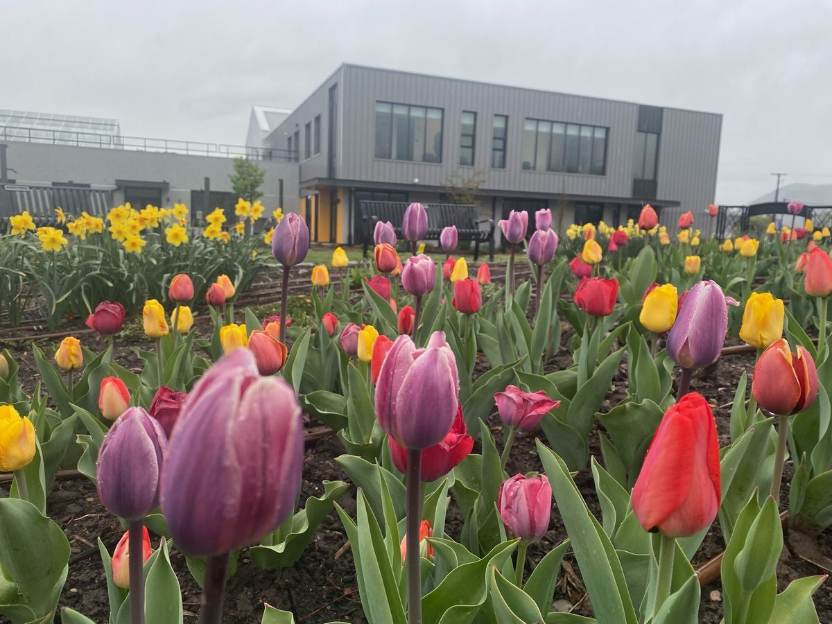 Beautiful Blooms kicks off the season with a stunning display of bulbs