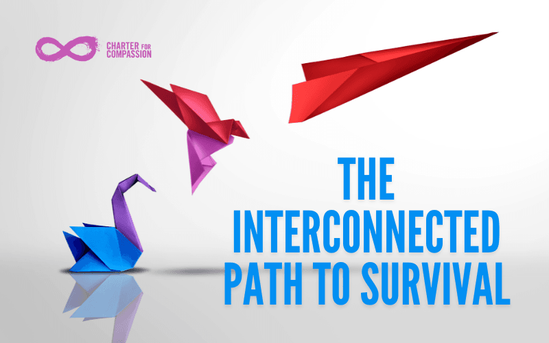 The Interconnected Path to Survival, an origami swan to the left, an origami humming bird flying in the center, and origami airplane flying to the left as showing an evolution.