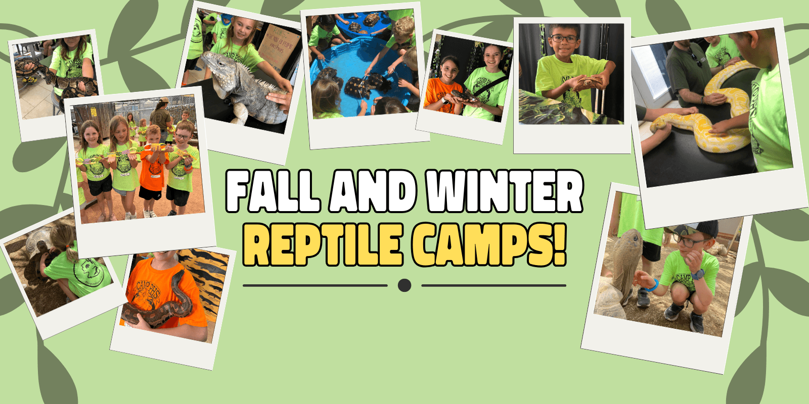 Sign up for Fall and Winter Camps!