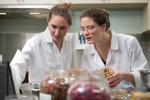 Herbalists Formulating in the Mederi Apothecary