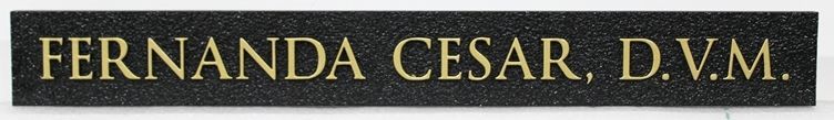 BB11810  - Carved and Sandblasted 2.5-D Name  Sign for a Veterinarian (D.V.M.) 