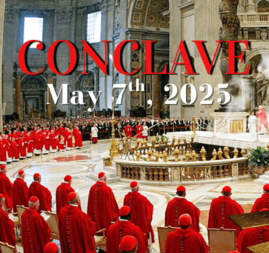 Conclave 2025, Cardinals