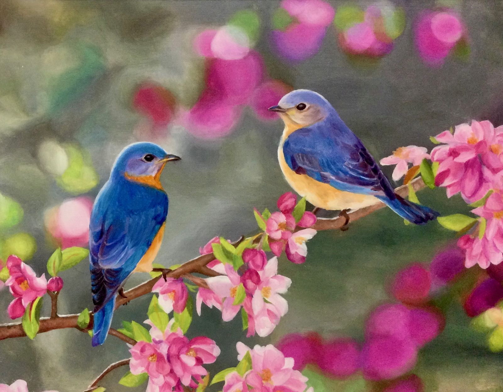 Home Audubon Society of Omaha