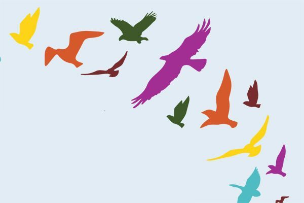 Avian Affair