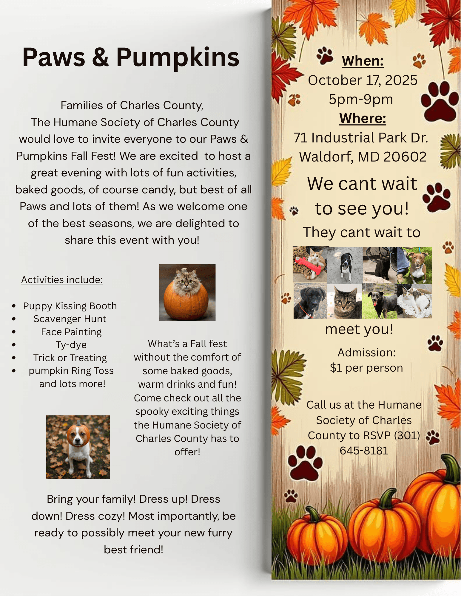 Paws & Pumpkins Fall Festival