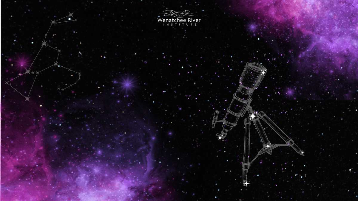 Kids sitting around a fire pit during 2025 Sunset & S'mores