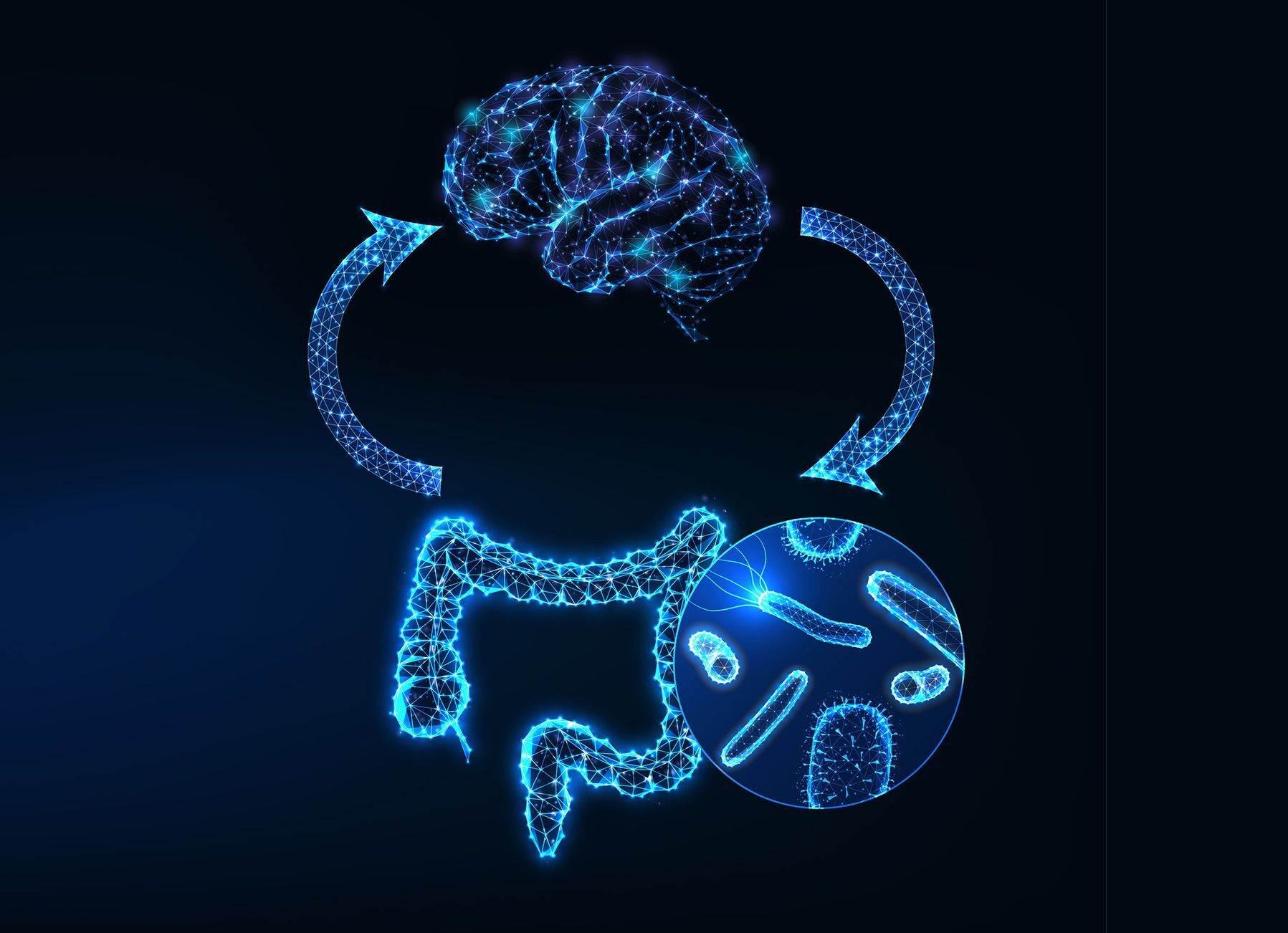 Weakened gut-brain connection may contribute to memory loss