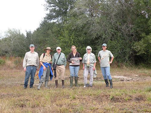 Willow Waterhole workday