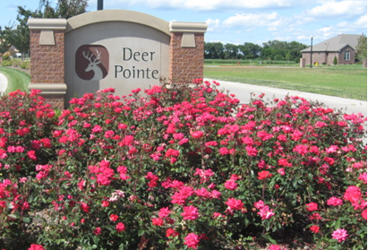 Deer Pointe