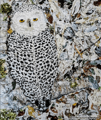 Montana Western Fine Arts Gallery Presents “Where Things Settle: The Space of Becoming”