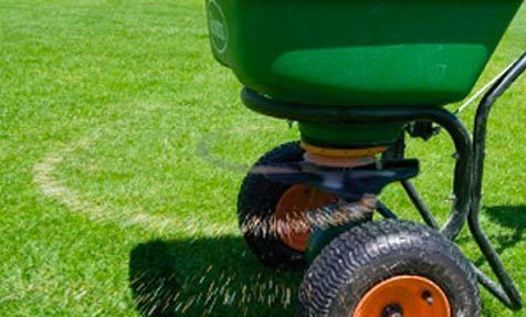 This Spring, Consider the Environment Before You Fertilize Your Lawn
