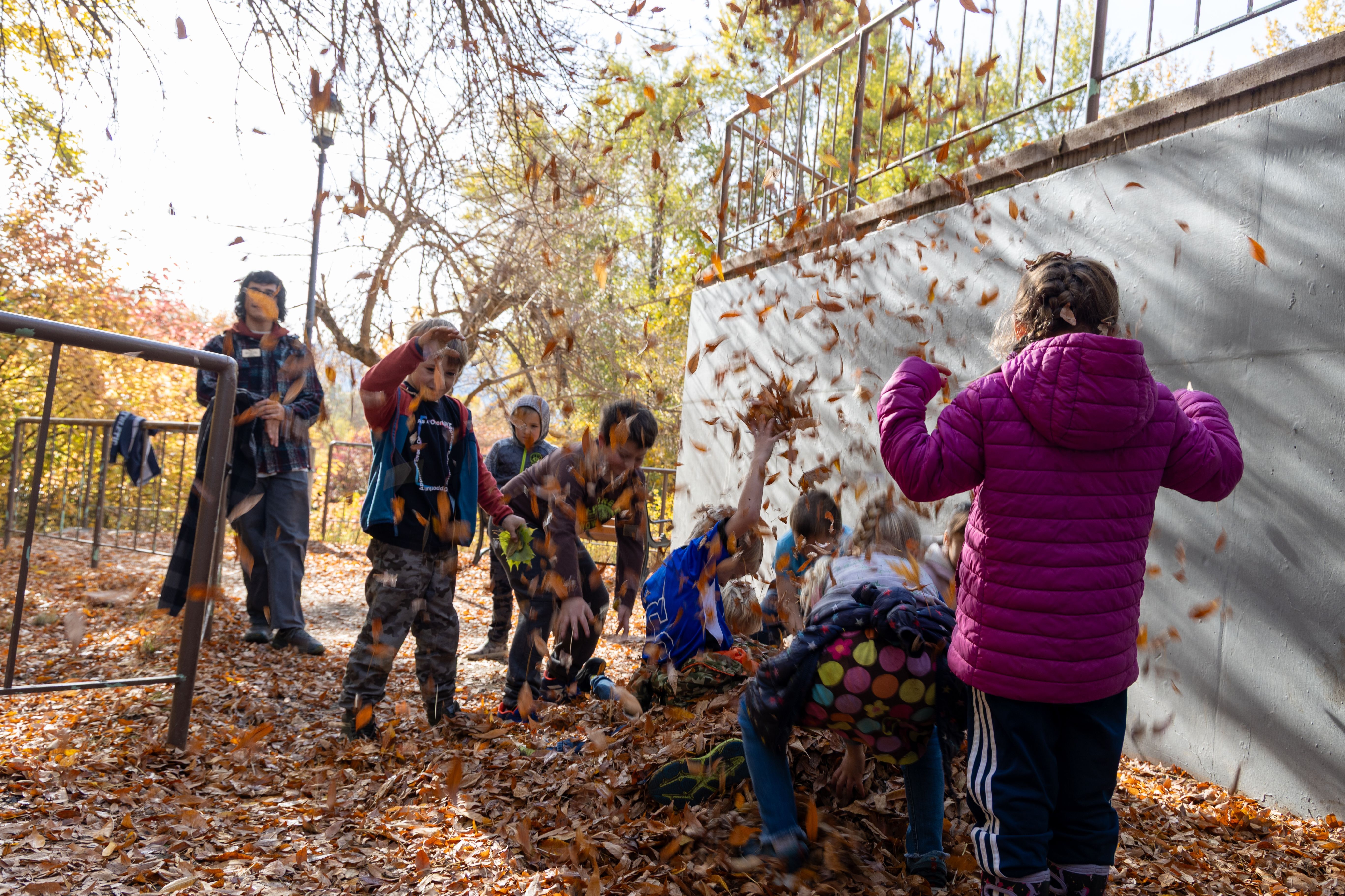 October 29th Newsletter