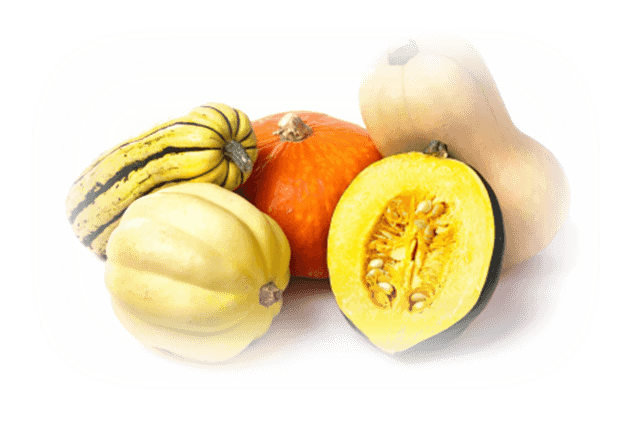 Fall Squash