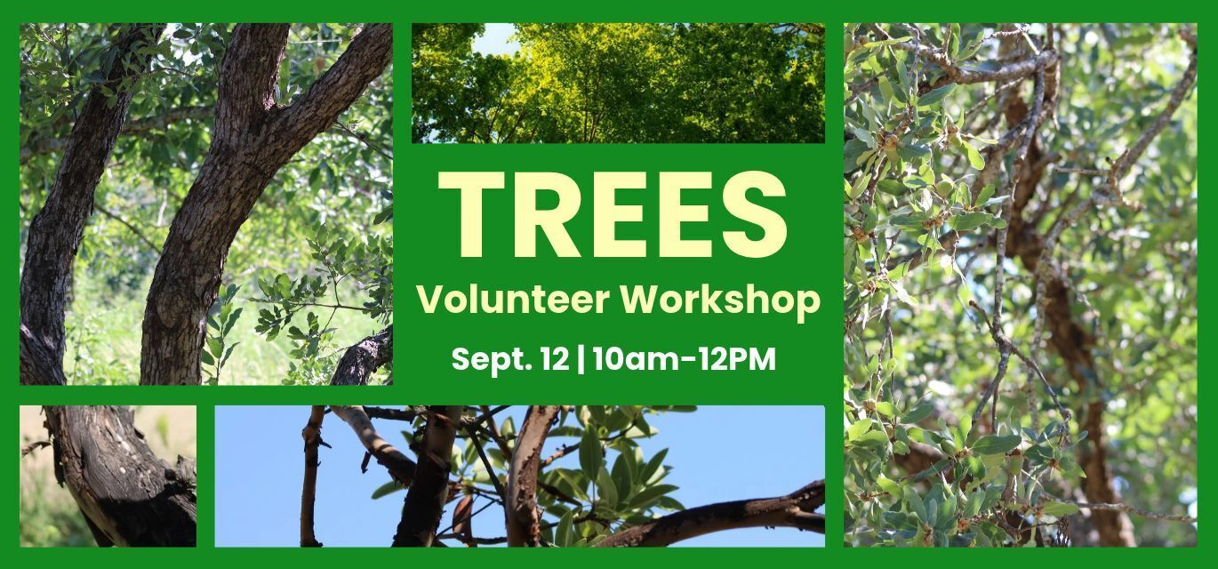 trees volunteer workshop, leadership at planting events 