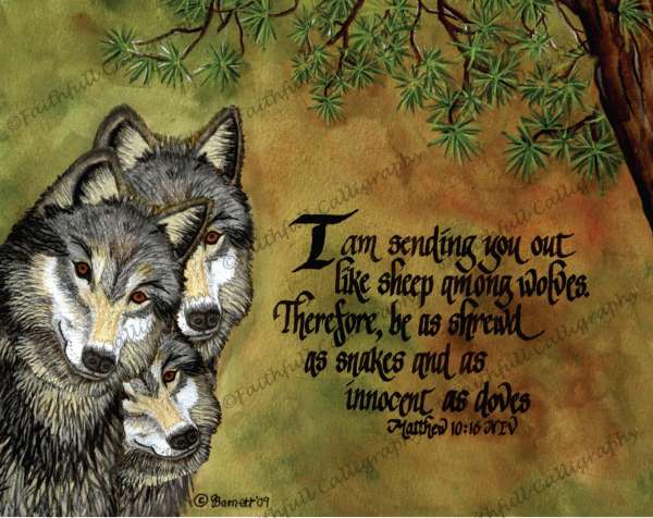 WOLVES (Matthew, Faithwalk)