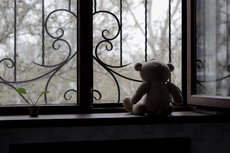 Trauma Statistics_Teddy Bear Looking Out Window