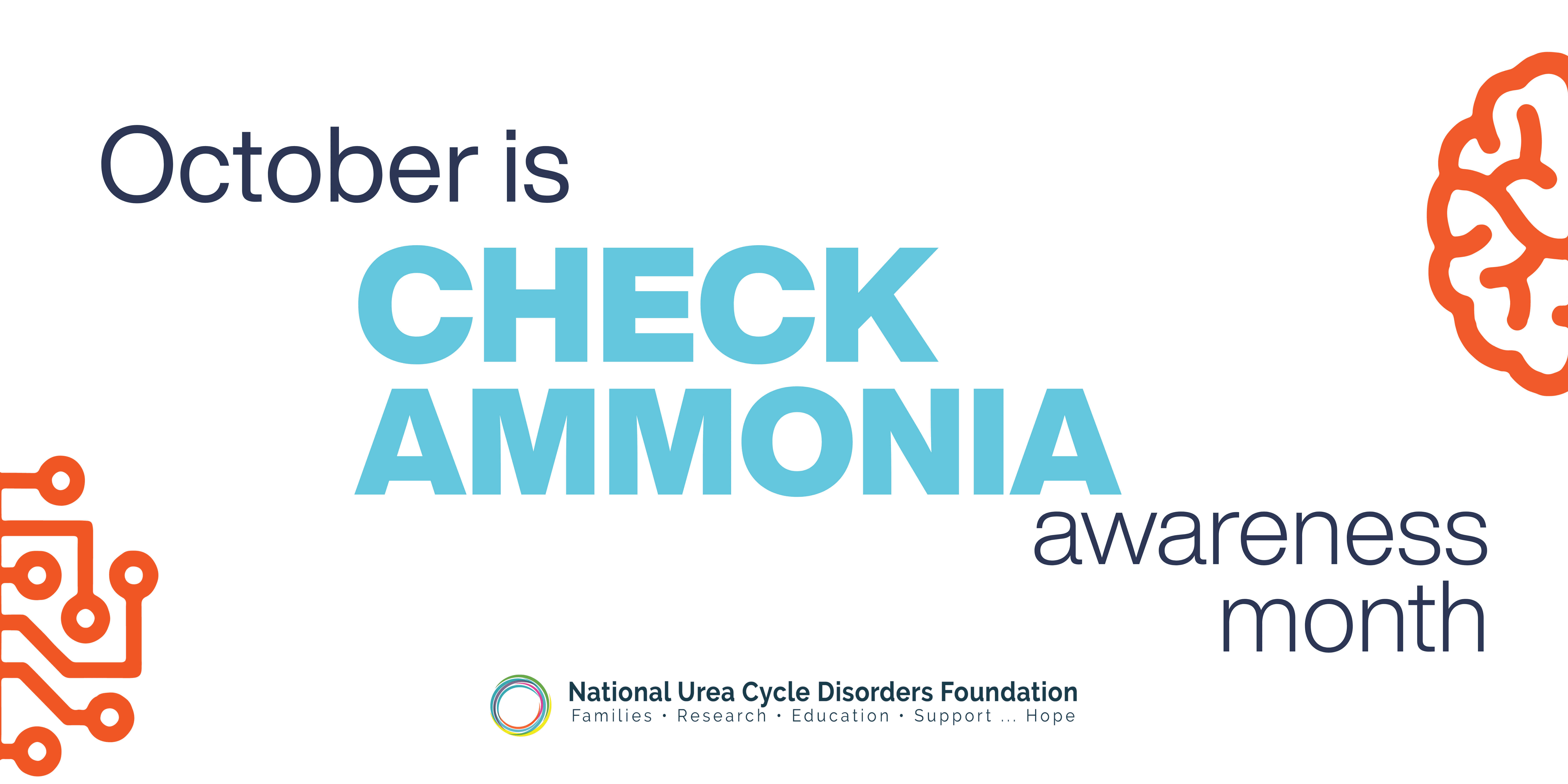 Check Ammonia logo. White background with orange and black lettering and designs.