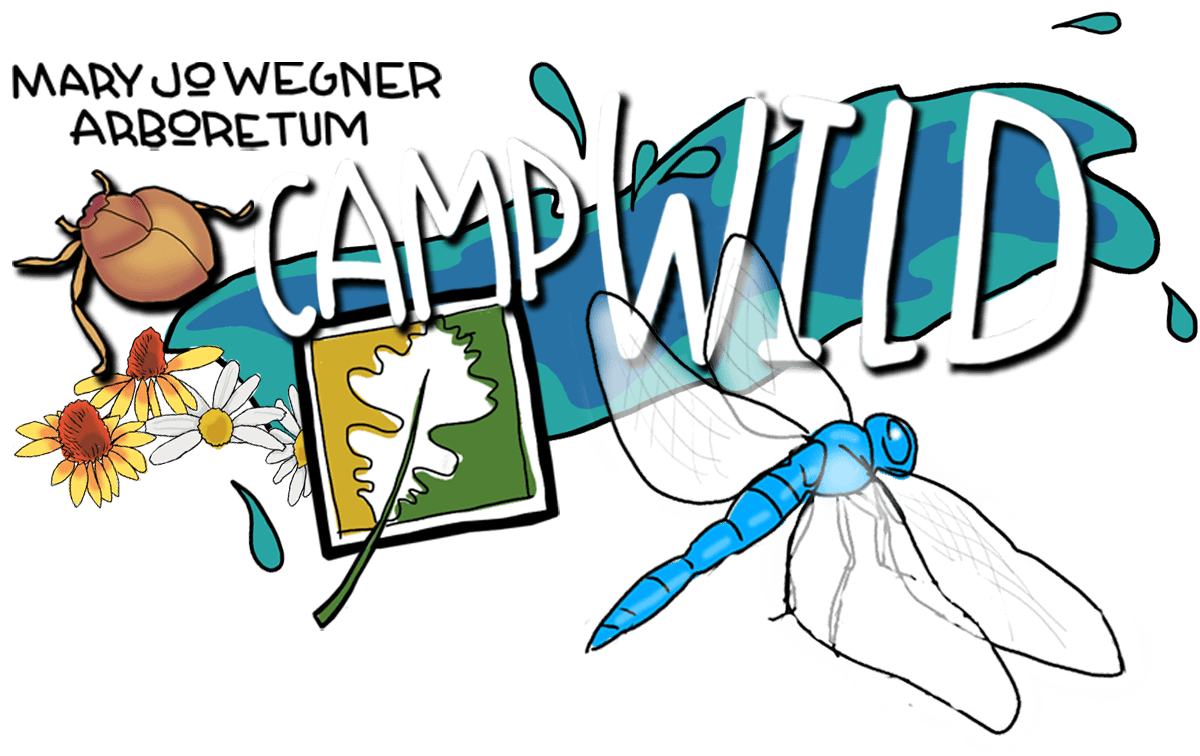 Camp WILD Registration Opens