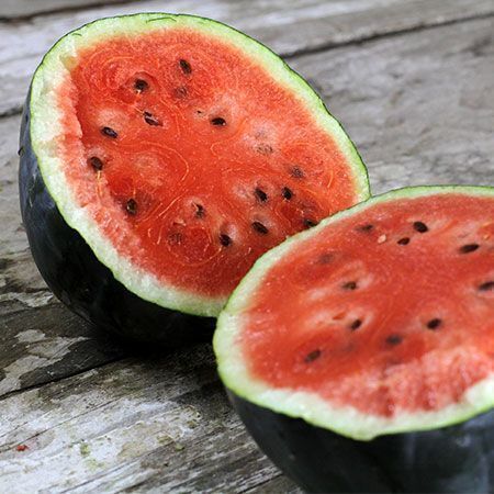 Watermelon