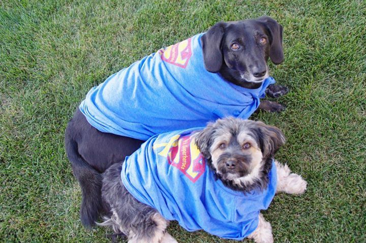 Terry & Karlas pups are superheroes too