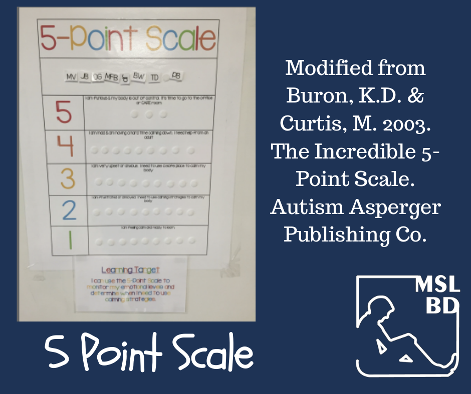 5-Point Scale