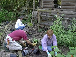 Gardening Volunteers