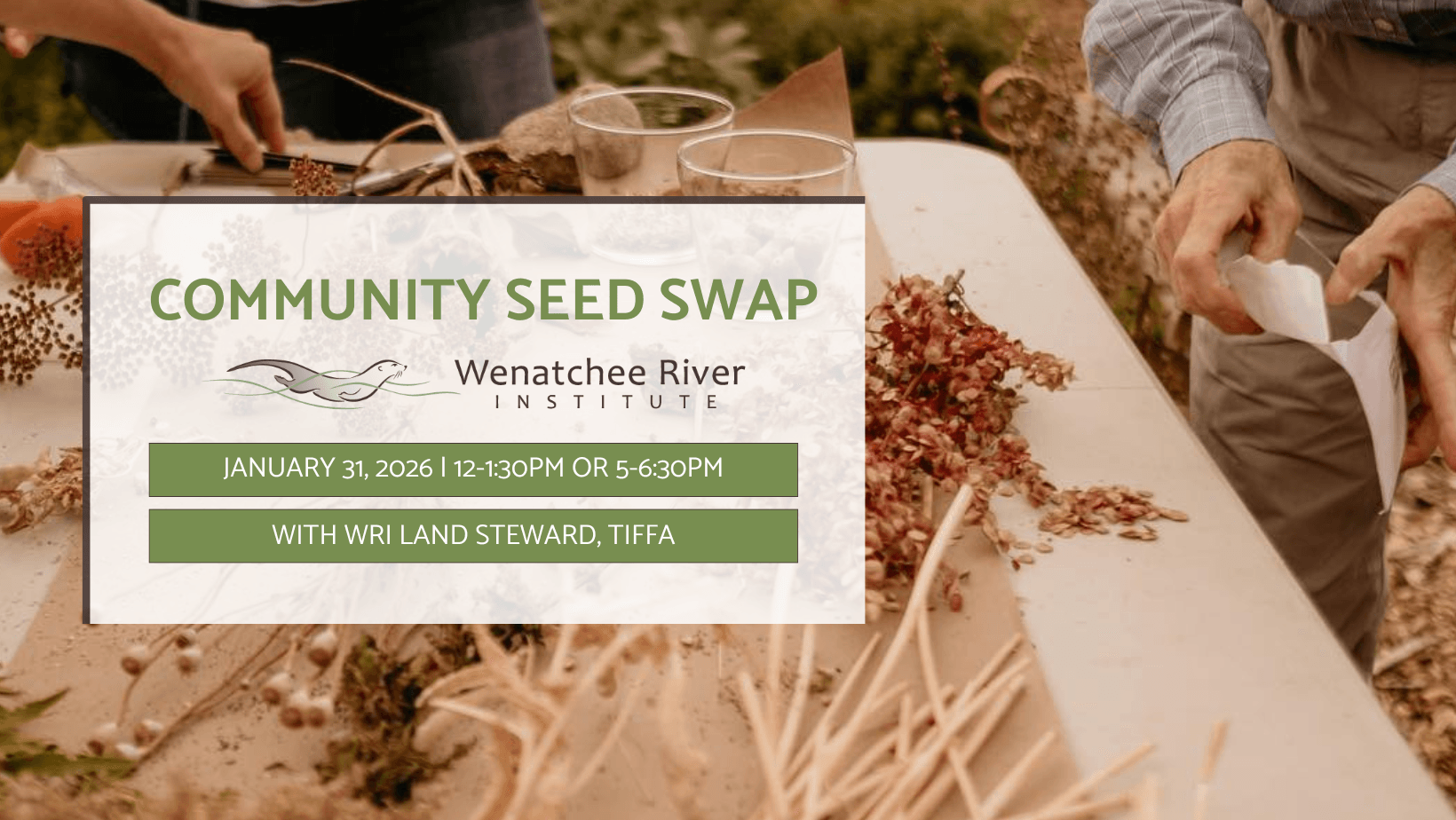 The words SEED SWAP with various seeds in the letters